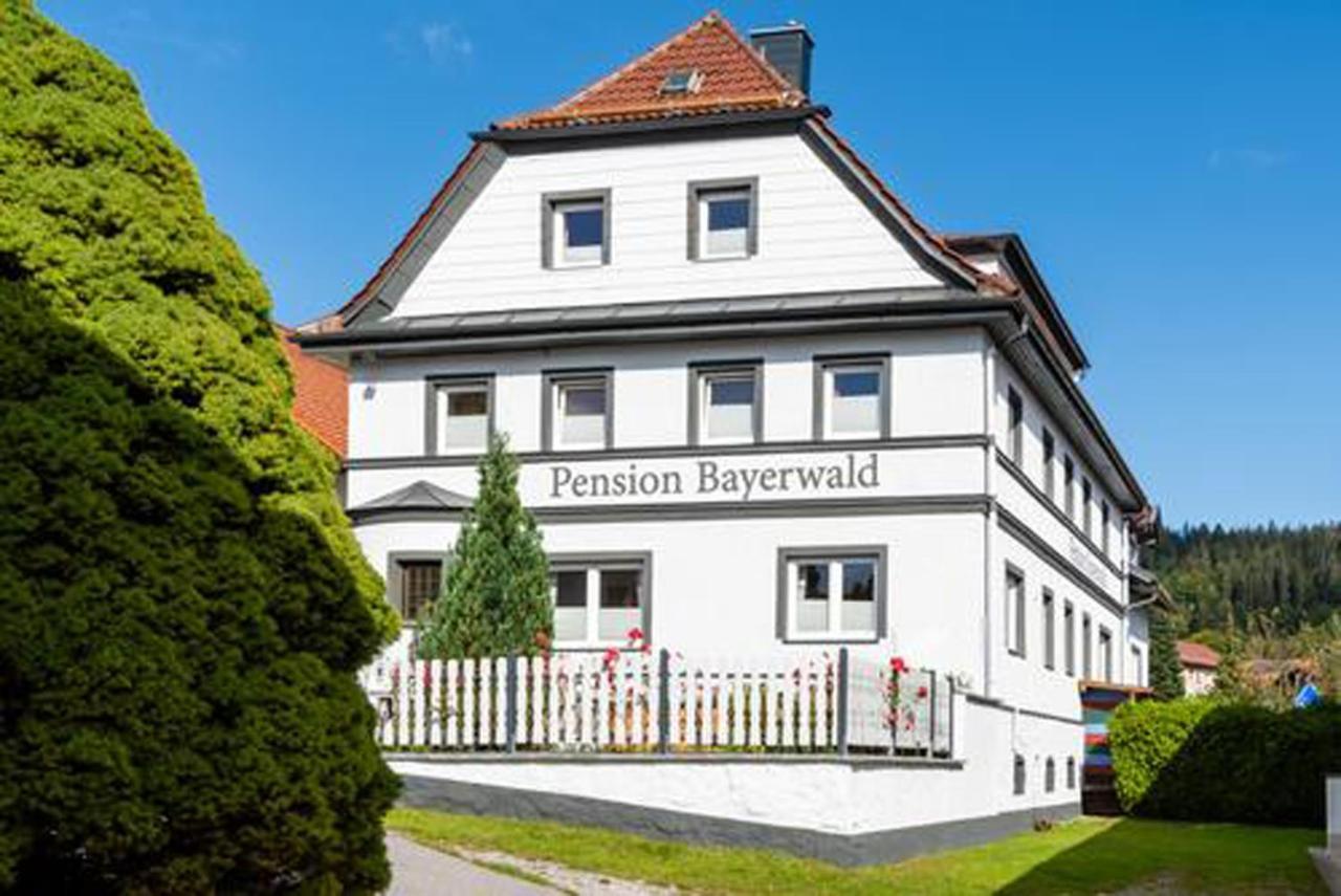 Pension Bayerwald Mit Ferienwohnung โบเดนไมส์ ภายนอก รูปภาพ